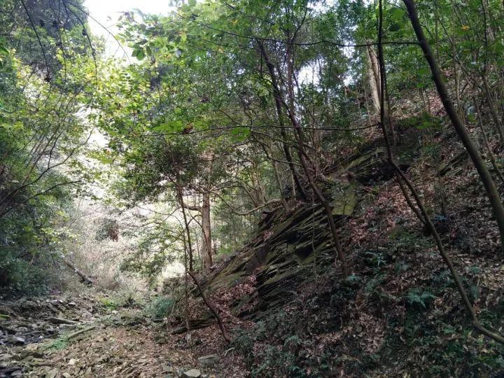疯狂的麦克斯
